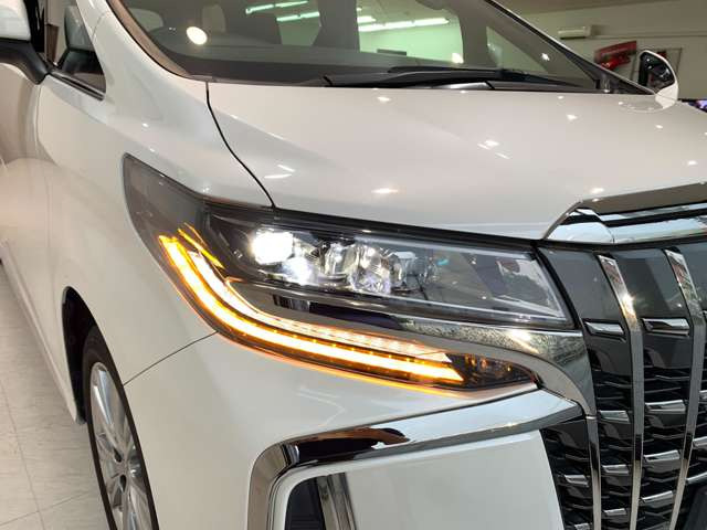 3眼LEDヘッドライト・シーケンシャルウインカー(流れるウインカー)付き!!