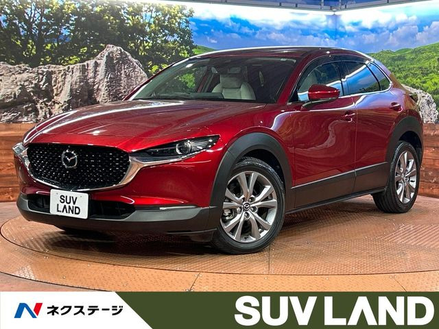 希少輸入品】MAZDA 1/18 マツダ CX-30 (レッド) モデルカー マツダ CX