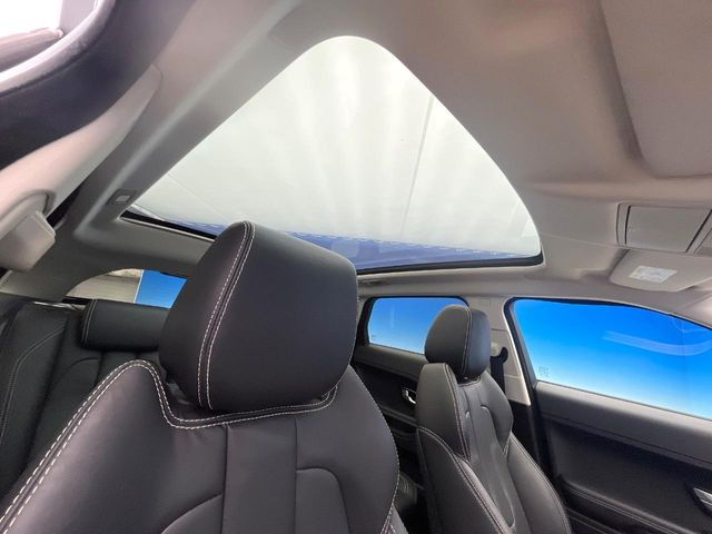 ���p�m���}�~�b�N�K���X���[�t:�唗�͂̃p�m���}���[�t�́A�㕔���Ȃɂ܂ő����Ă���A�J���I�ȋ�Ԃ����y���݂��������܂��B