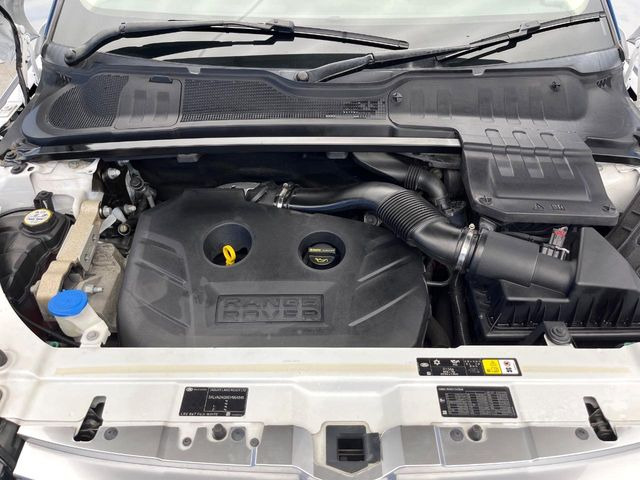 �����X�ł́A�e���[�J�[�̐�p�f�f�e�X�^�[�𓱓��B���Ǝ��i�����e�N�j�J���X�^�b�t���풓���Ă���܂��̂ŁA������̍ۂɂ����S���Ă����p���������܂��B