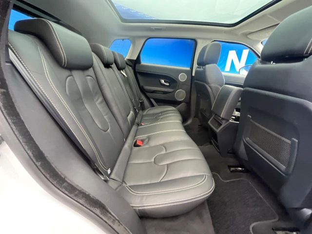 ���㕔���Ȃ��C�ɂȂ�悤�ȃL�Y�E�����ւ��蓙�A�傫�ȃ_���[�W�͂Ȃ��A�ǍD�ȏ�Ԃł��B