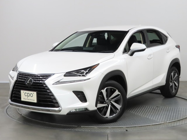 NX300 Iパッケージ