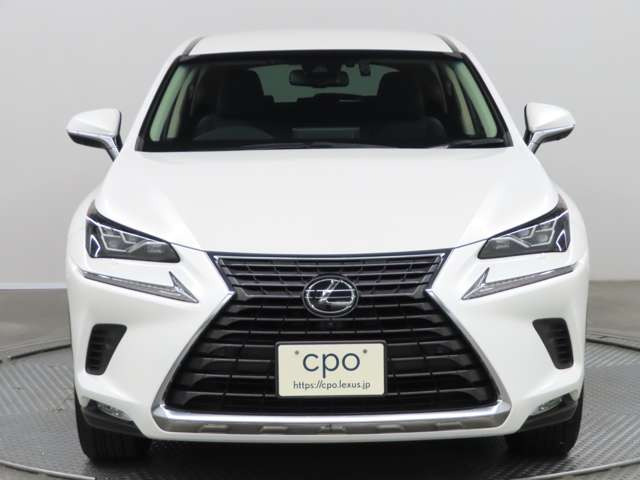 NX300 Iパッケージ