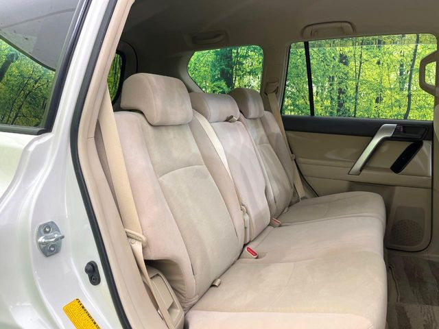 �㕔���Ȃ��C�ɂȂ�悤�ȃL�Y�E�����ւ��蓙�A�傫�ȃ_���[�W�͂Ȃ��A�ǍD�ȏ�Ԃł��B