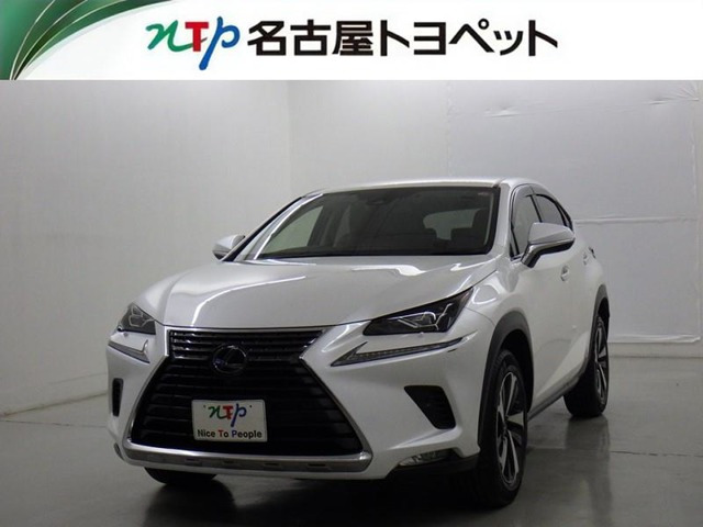 NX300h バージョンL