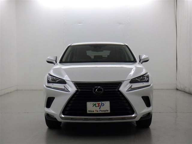 NX300h バージョンL