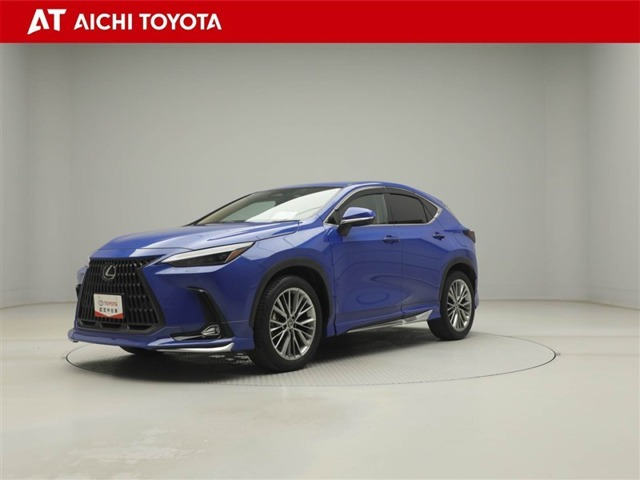 NX250 バージョンL