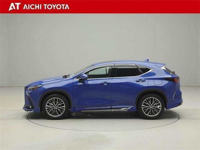 NX250 バージョンL