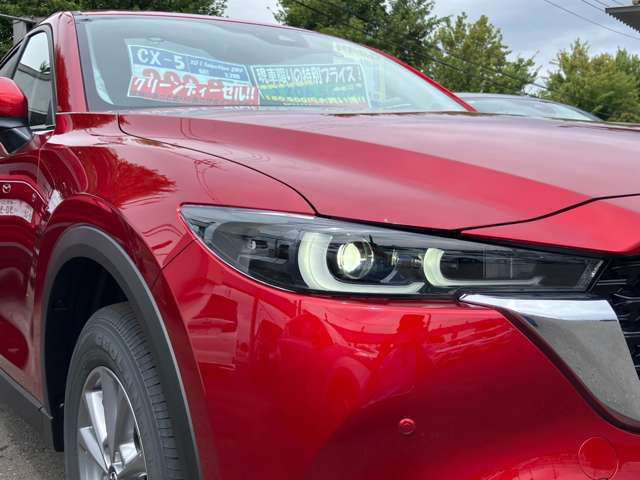 アダプティブLEDヘッドライト!対向車など自動で判断してロービームになります!