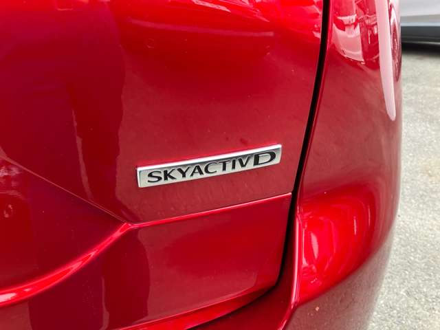 ディーゼル車です!