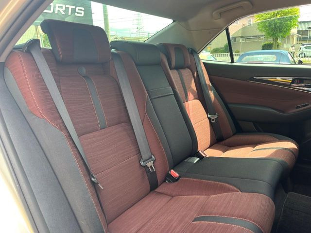 �㕔���Ȃ��C�ɂȂ�悤�ȃL�Y�E�����ւ��蓙�A�傫�ȃ_���[�W�͂Ȃ��A�ǍD�ȏ�Ԃł��B