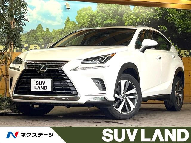 NX(レクサス) 200t Iパッケージ 中古車画像