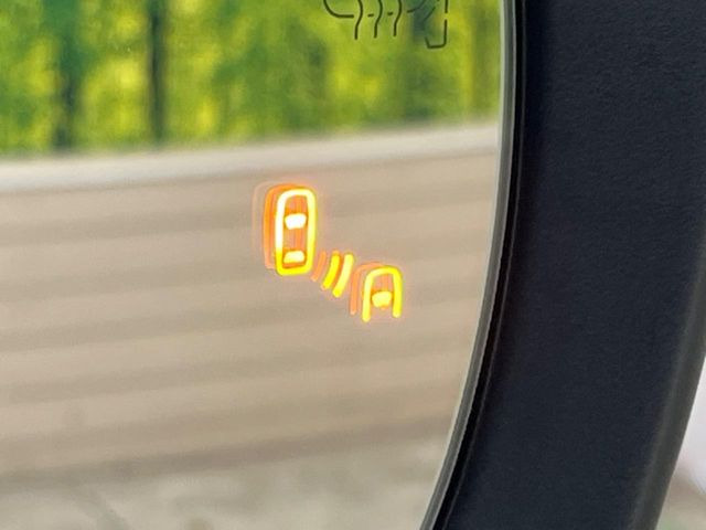 �y�u���C���h�X�|�b�g���j�^�z���[�_�[�ɂ��׎Ԑ��̎ԗ������m�B�ԗ������m�������̕\�������_���B�ԗ������m���Ă��鑤�ɎԐ��ύX�����悤�Ƃ����ꍇ�A�u�U�[�ƕ\���Ŋ댯�����m�点���܂��B