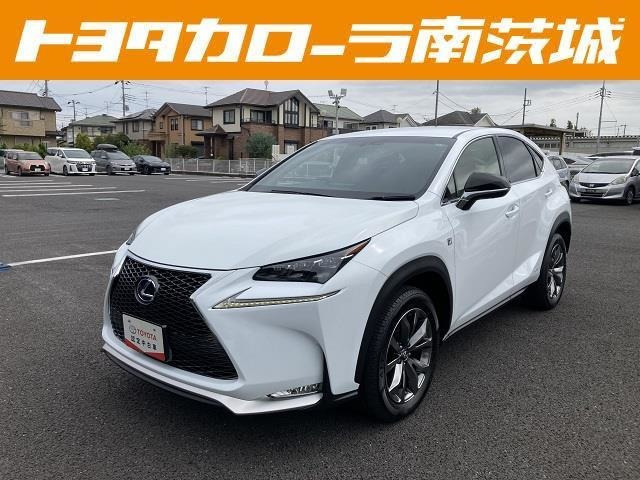 NX300h Fスポーツ