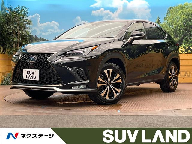 NX(レクサス) 300h Fスポーツ 中古車画像