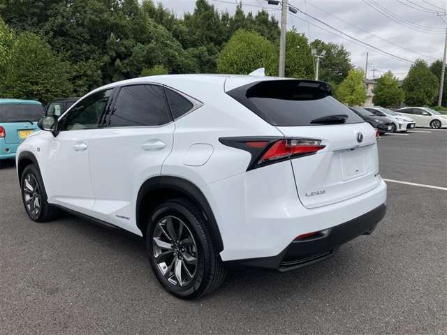 NX300h Fスポーツ