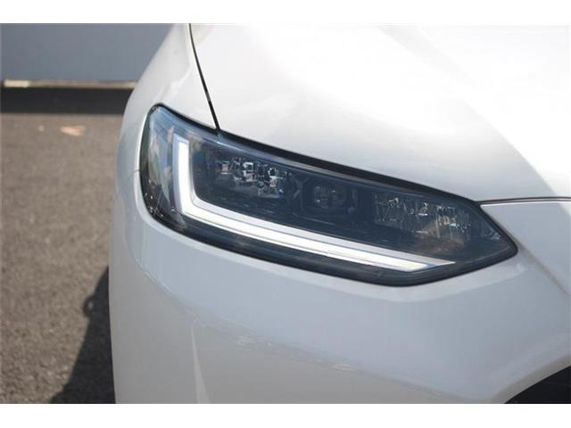 ���Ǝҗl�ւ̔̔��͂��f�肳���Ă��������܂��B �Ԍ������ԗ��̏ꍇ�́A�Ԍ����擾�������x�������z�ŕ\�����Ă���܂��B