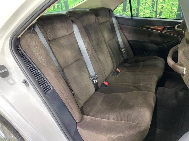 �㕔���Ȃ��C�ɂȂ�悤�ȃL�Y�E�����ւ��蓙�A�傫�ȃ_���[�W�͂Ȃ��A�ǍD�ȏ�Ԃł��B