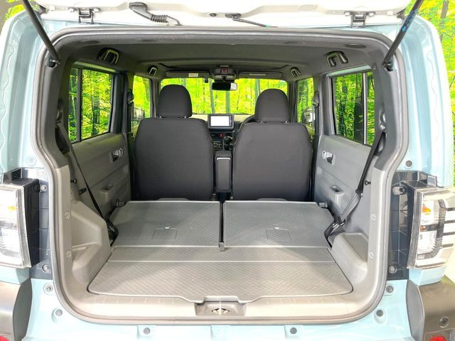 �㕔���Ȃ��C�ɂȂ�悤�ȃL�Y�E�����ւ��蓙�A�傫�ȃ_���[�W�͂Ȃ��A�ǍD�ȏ�Ԃł��B