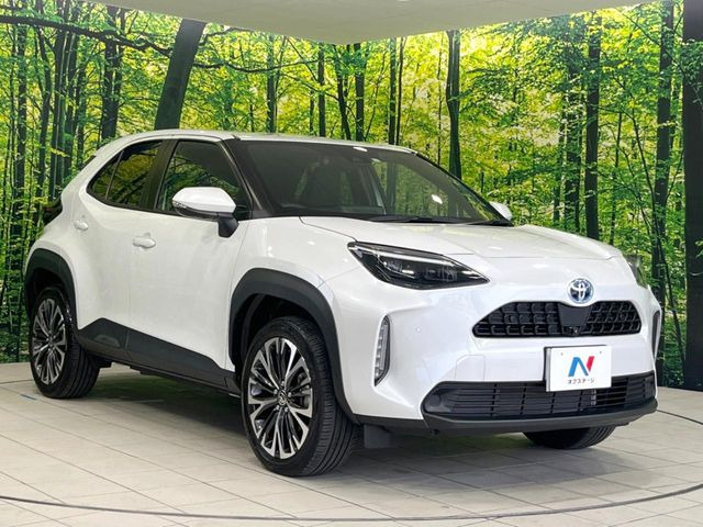 ��D�]�̃{�f�B�R�[�e�B���O�u�e�X�v���b�V���R�[�g�v�����[�Ԃ܂łɎ{�H�\�B�ʏ�̃K���X�R�[�g�ƈقȂ�A�ϋv�N��6�N�̖��@���K���X�R�[�e�B���O���A�{�f�B���L���C�ȏ�Ԃɕۂ��Ă���܂��B