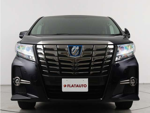 大迫力のフロントフェイスです!状態は非常にいいですが、コーティング施工により更なる質感をご提供できます。プランは数多く御座いますので、お気軽にお申し付けください!