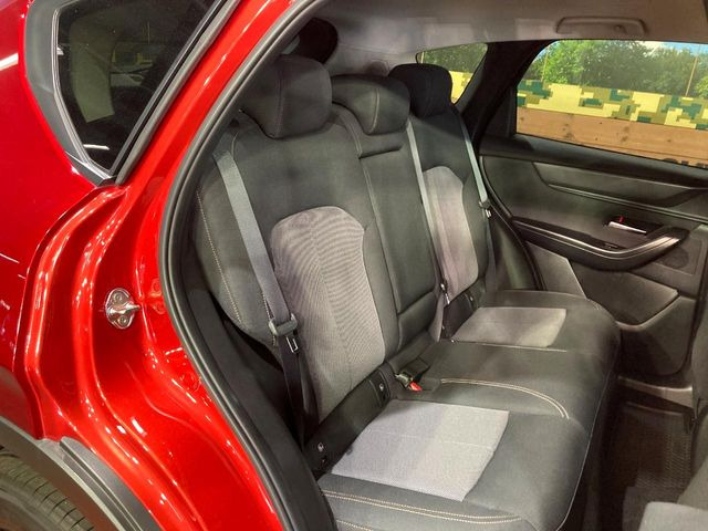 �㕔���Ȃ��C�ɂȂ�悤�ȃL�Y�E�����ւ��蓙�A�傫�ȃ_���[�W�͂Ȃ��A�ǍD�ȏ�Ԃł��B