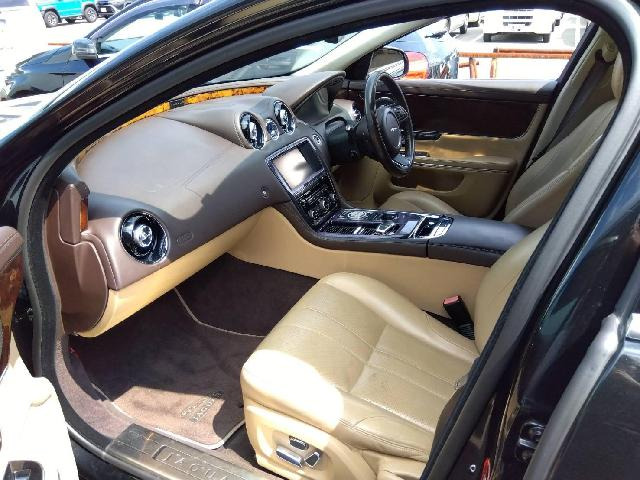 XJXJ ラグジュアリー