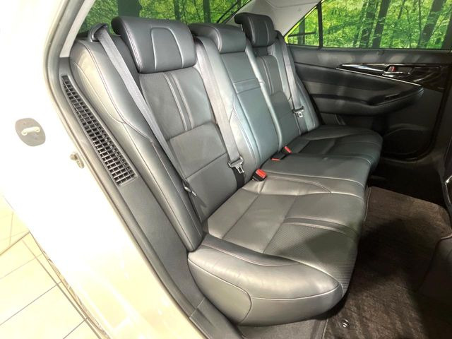 �㕔���Ȃ��C�ɂȂ�悤�ȃL�Y�E�����ւ��蓙�A�傫�ȃ_���[�W�͂Ȃ��A�ǍD�ȏ�Ԃł��B