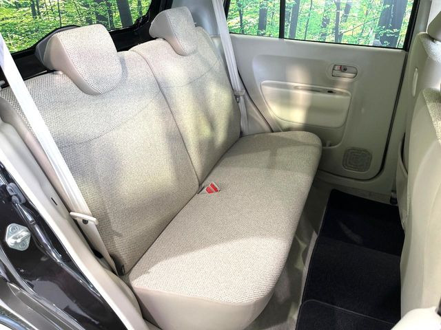 �㕔���Ȃ��C�ɂȂ�悤�ȃL�Y�E�����ւ��蓙�A�傫�ȃ_���[�W�͂Ȃ��A�ǍD�ȏ�Ԃł��B