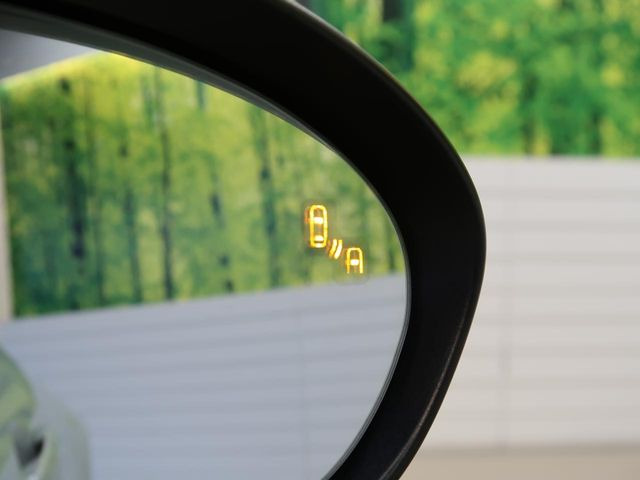 �y�u���C���h�X�|�b�g���j�^�����O�z���s���A�h�A�~���[�̎��p�ɂȂ�₷���ӏ��Ɍ㑱�Ԃ��ڋ߂���ƃT�C�h�~���[�t�߂Ɍx����\���A�h���C�o�[�ɒ��ӊ��N�����Ă���܂��B