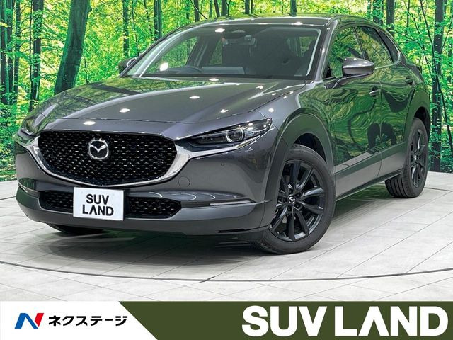 CX-30(マツダ) 1.8 XD ツーリング 中古車画像