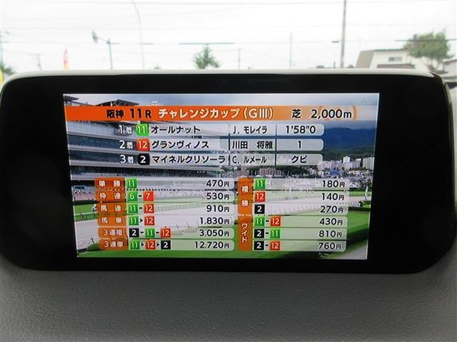 ���⍇���͂�����0152-72-4518��������ishadow@outlook.jp�܂ŋC�y�ɂ��A��������!!���Ђ̃��[����d�b�ł̂��₢���킹���ǂ��ǂ����҂����Ă���܂��B