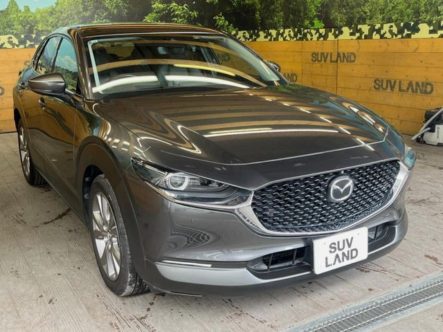 ��D�]�̃{�f�B�R�[�e�B���O�u�e�X�v���b�V���R�[�g�v�����[�Ԃ܂łɎ{�H�\�B�ʏ�̃K���X�R�[�g�ƈقȂ�A�ϋv�N��6�N�̖��@���K���X�R�[�e�B���O���A�{�f�B���L���C�ȏ�Ԃɕۂ��Ă���܂��B