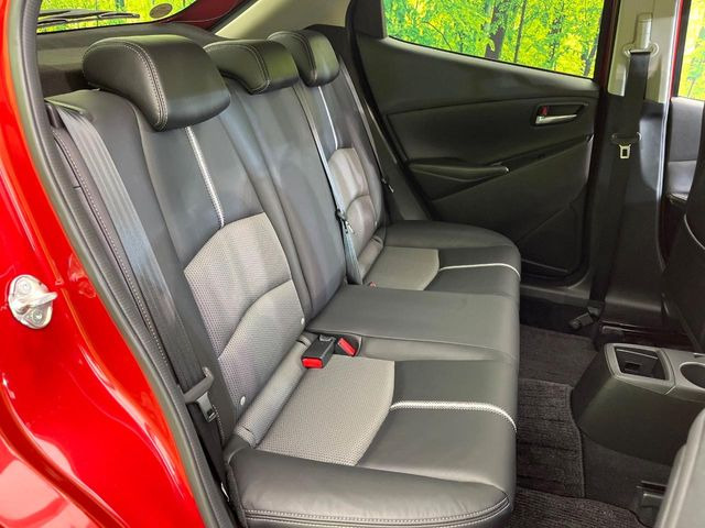 �㕔���Ȃ��C�ɂȂ�悤�ȃL�Y�E�����ւ��蓙�A�傫�ȃ_���[�W�͂Ȃ��A�ǍD�ȏ�Ԃł��B