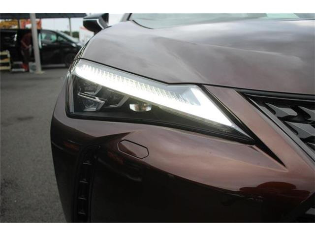 ���Ǝҗl�ւ̔̔��͂��f�肳���Ă��������܂��B �Ԍ������ԗ��̏ꍇ�́A�Ԍ����擾�������x�������z�ŕ\�����Ă���܂��B