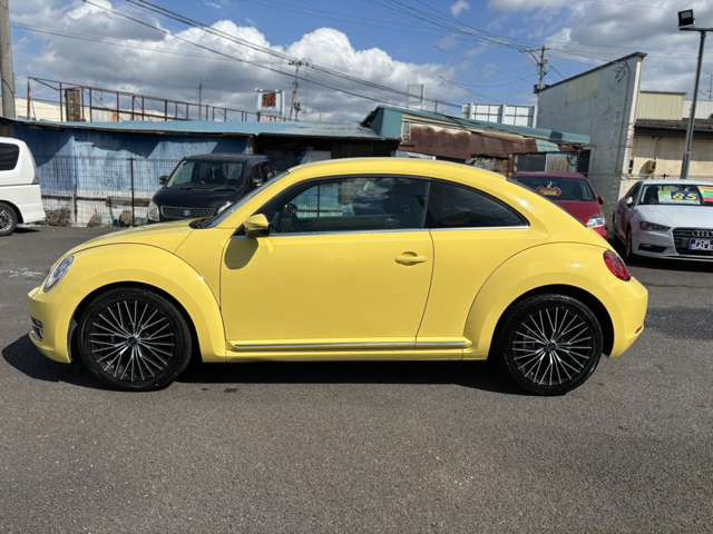 ���e��I�[�g���[�������������܂�