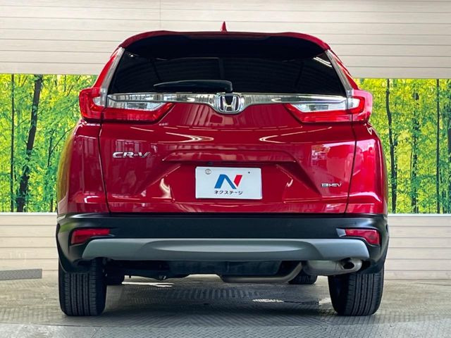 ���S�̍Œ�10�N�E���s�������ۏ�(�L��)�����p�ӁB�ۏؓ��e���[���͂������A�����_��&�I�C��������A�N�����x�̑S���E24���ԃ��[�h�T�[�r�X���t�т���Ă���܂��̂ł����S�������B