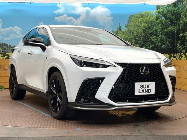 ��D�]�̃{�f�B�R�[�e�B���O�u�e�X�v���b�V���R�[�g�v�����[�Ԃ܂łɎ{�H�\�B�ʏ�̃K���X�R�[�g�ƈقȂ�A�ϋv�N��6�N�̖��@���K���X�R�[�e�B���O���A�{�f�B���L���C�ȏ�Ԃɕۂ��Ă���܂��B