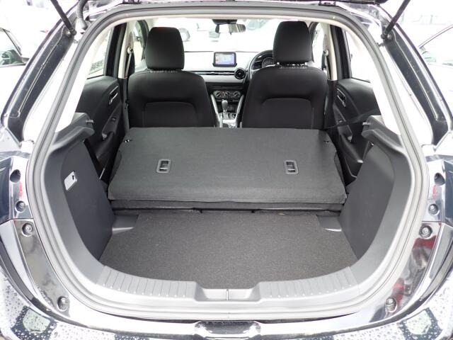 �㕔���Ȕw������͓|�������\�ł���ו��̗ʂɉ����ăA�����W�o����̂ŁA�������ł���!