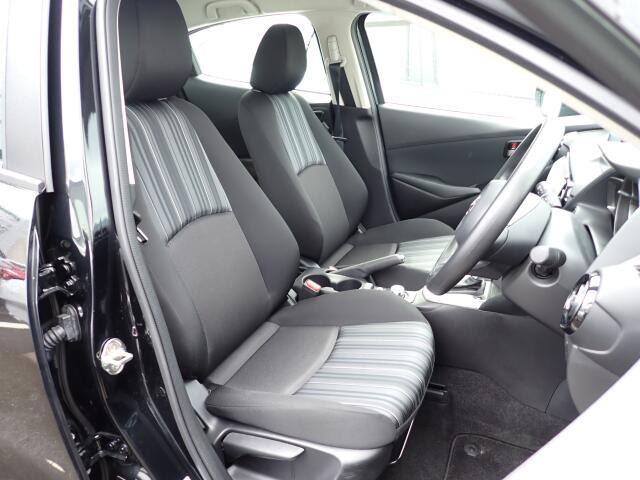 �^�]�Ȃ��傫�ȎC����Ȃ���ԗǍD�ł��B