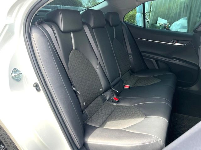 �㕔���Ȃ��C�ɂȂ�悤�ȃL�Y�E�����ւ��蓙�A�傫�ȃ_���[�W�͂Ȃ��A�ǍD�ȏ�Ԃł��B