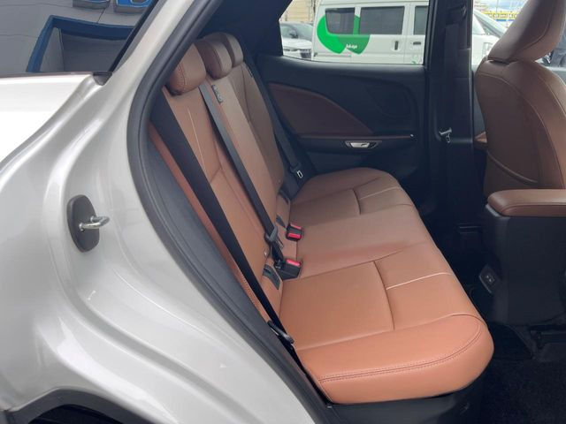 �㕔���Ȃ��C�ɂȂ�悤�ȃL�Y�E�����ւ��蓙�A�傫�ȃ_���[�W�͂Ȃ��A�ǍD�ȏ�Ԃł��B