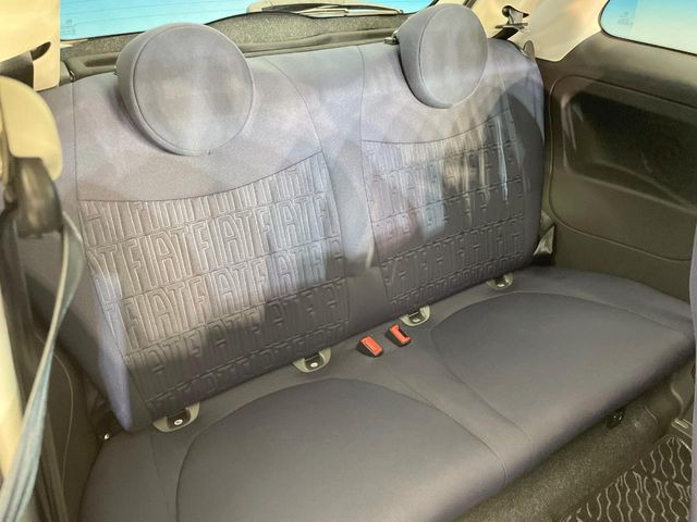 ���㕔���Ȃ��C�ɂȂ�悤�ȃL�Y�E�����ւ��蓙�A�傫�ȃ_���[�W�͂Ȃ��A�ǍD�ȏ�Ԃł��B