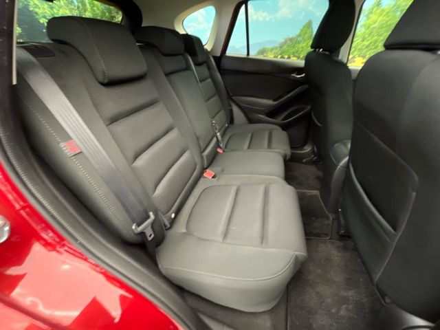 �㕔���Ȃ��C�ɂȂ�悤�ȃL�Y�E�����ւ��蓙�A�傫�ȃ_���[�W�͂Ȃ��A�ǍD�ȏ�Ԃł��B