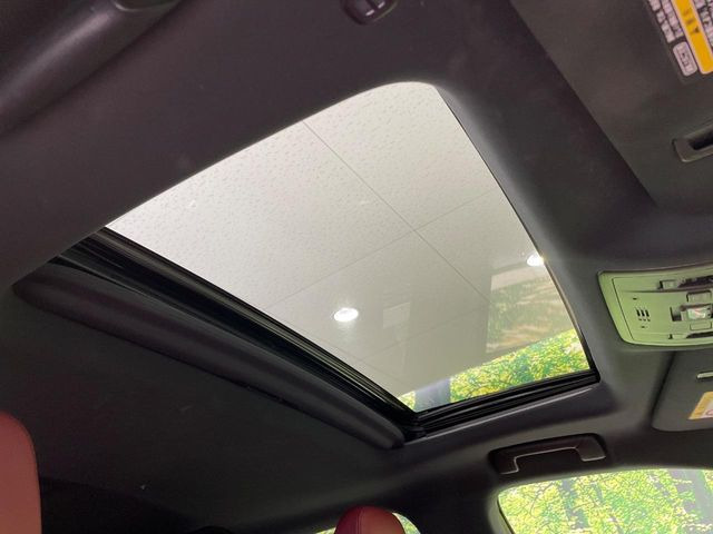 �y�T�����[�t�z�J���������Ղ�̊󏭑����A�T�����[�t����������Ă��܂�!�ԓ��ɖ�����������ꂽ��i�F���y���ވȊO�ɂ��A�ԓ��̋�C���ȒP�Ɋ��C�ł��ĉ��K�ł�!