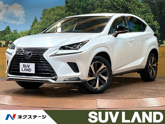NX(レクサス) 300 スパイス&amp;シック 中古車画像