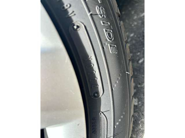 2024�N�� �_�����b�v�G�i�Z�[�u