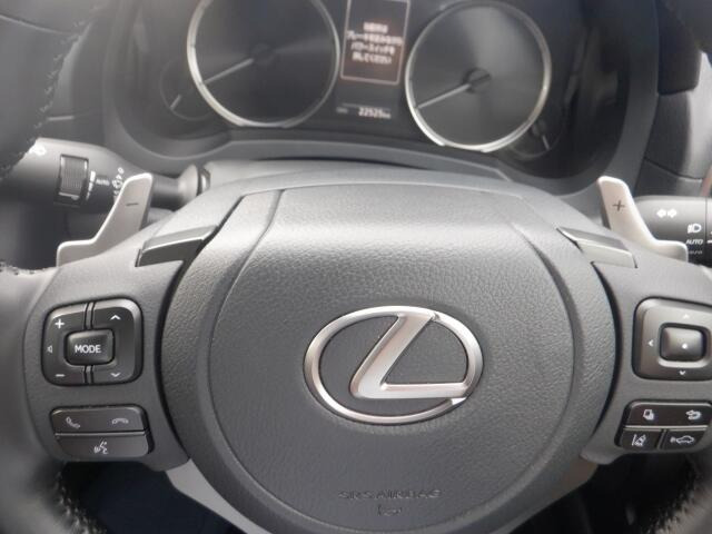 �p�h���V�t�g�ŃX�|�[�e�B�ȑ�����y���߂܂�!