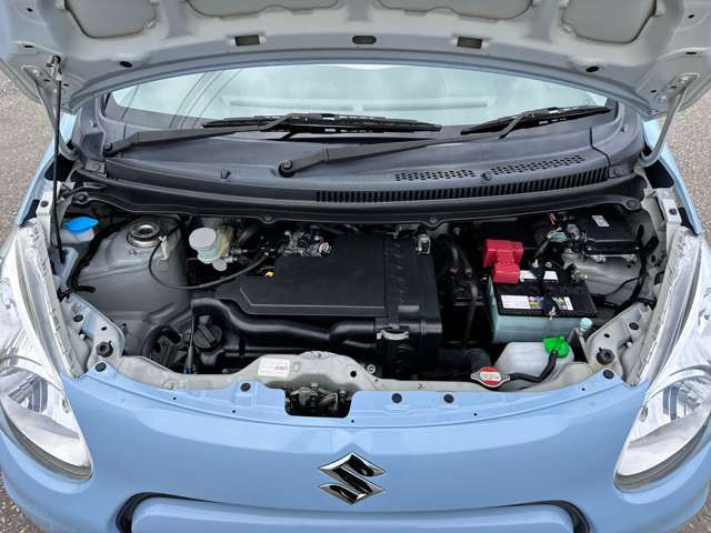 ���|�ς݂Ŕ��ɂ��ꂢ�ł���!!