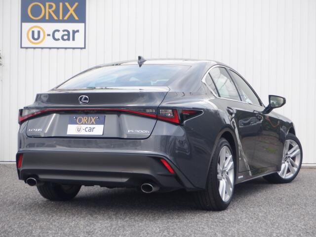 ���Ԃ̕��́A��֓� �u���C���^�[IC�v�~��Ă���